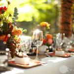 Fall tones Dahlias and roses mixed with Solidaster, Eucalyptus, Lisianthus and 
Amaranthys  create 
a soft , warm  look to a beautiful fall wedding. 
Photograhy by Stellasweet .
www.stellasweet.com